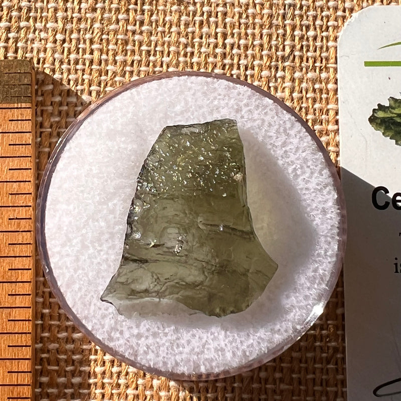 Moldavite 1.6 grams #2158-Moldavite Life