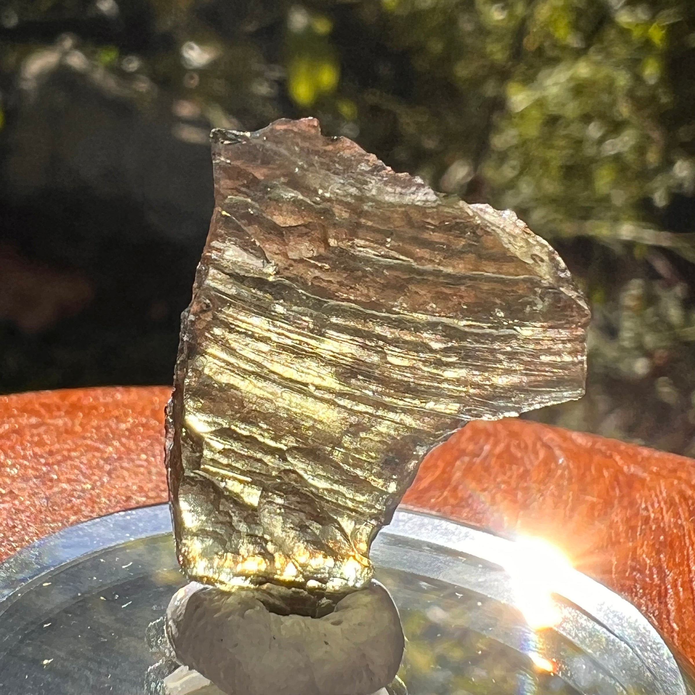 Moldavite 1.6 grams #2158-Moldavite Life