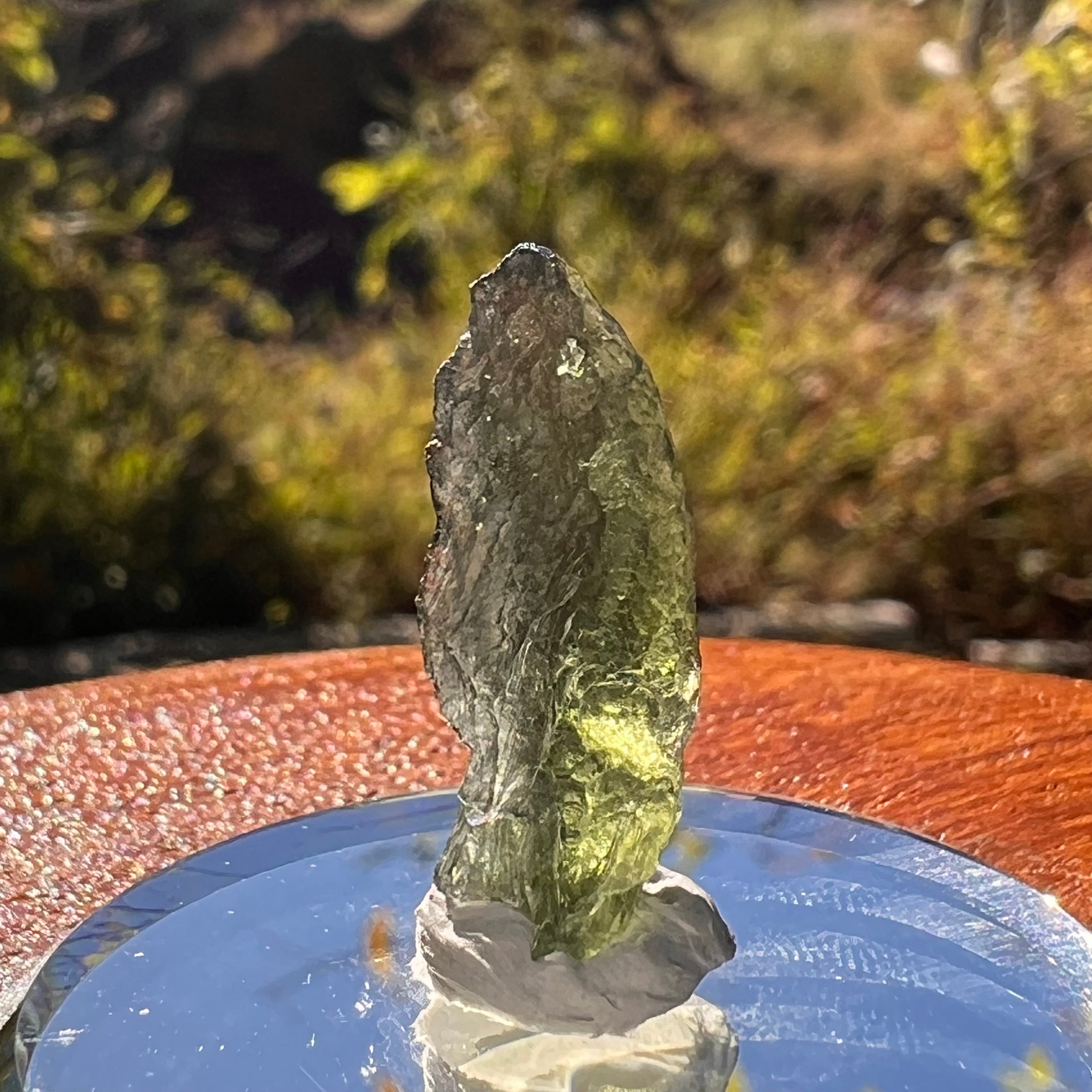 Moldavite 1.6 grams #2279-Moldavite Life
