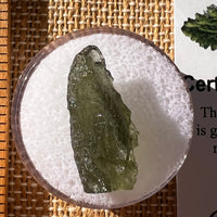 Moldavite 1.6 grams #2279-Moldavite Life