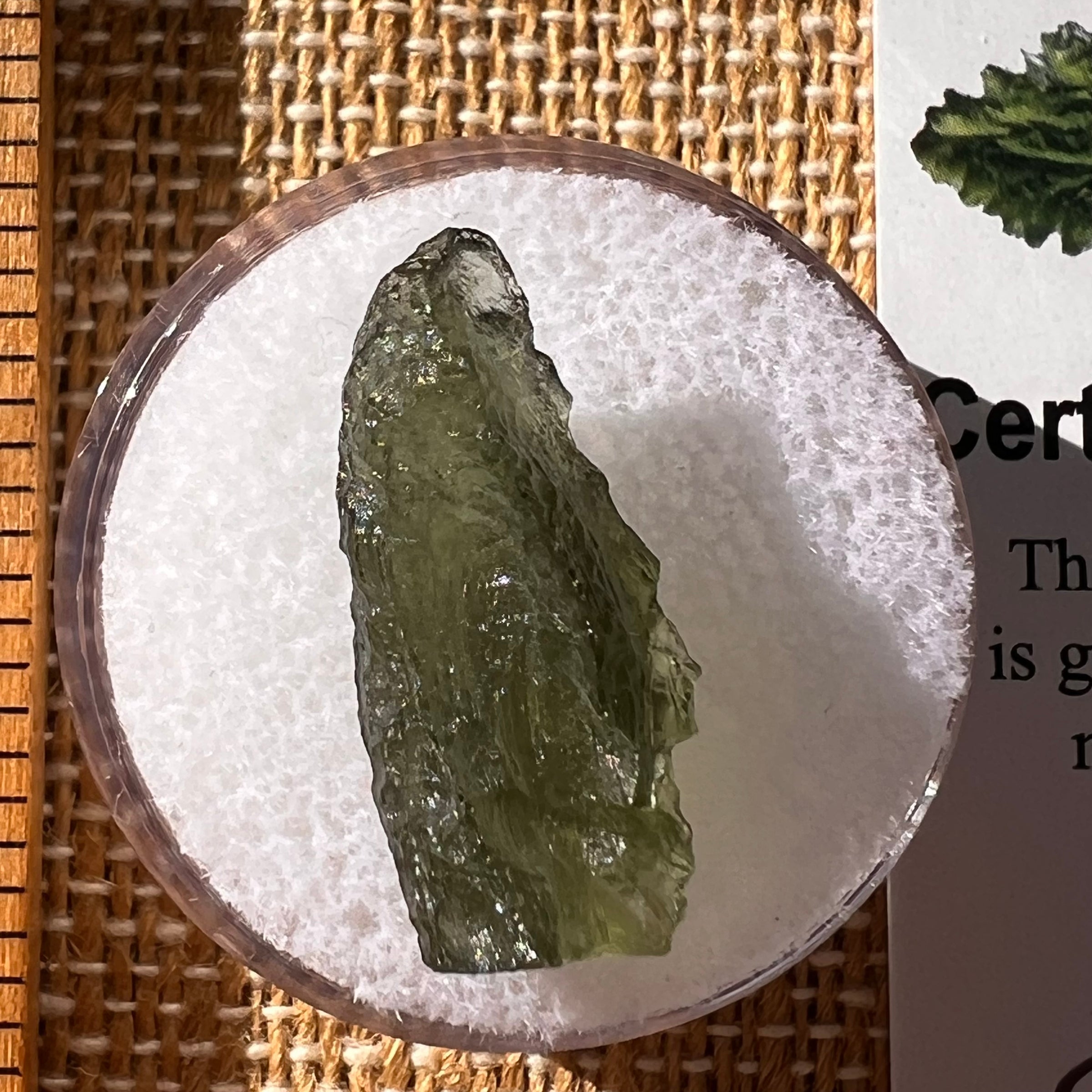 Moldavite 1.6 grams #2279-Moldavite Life