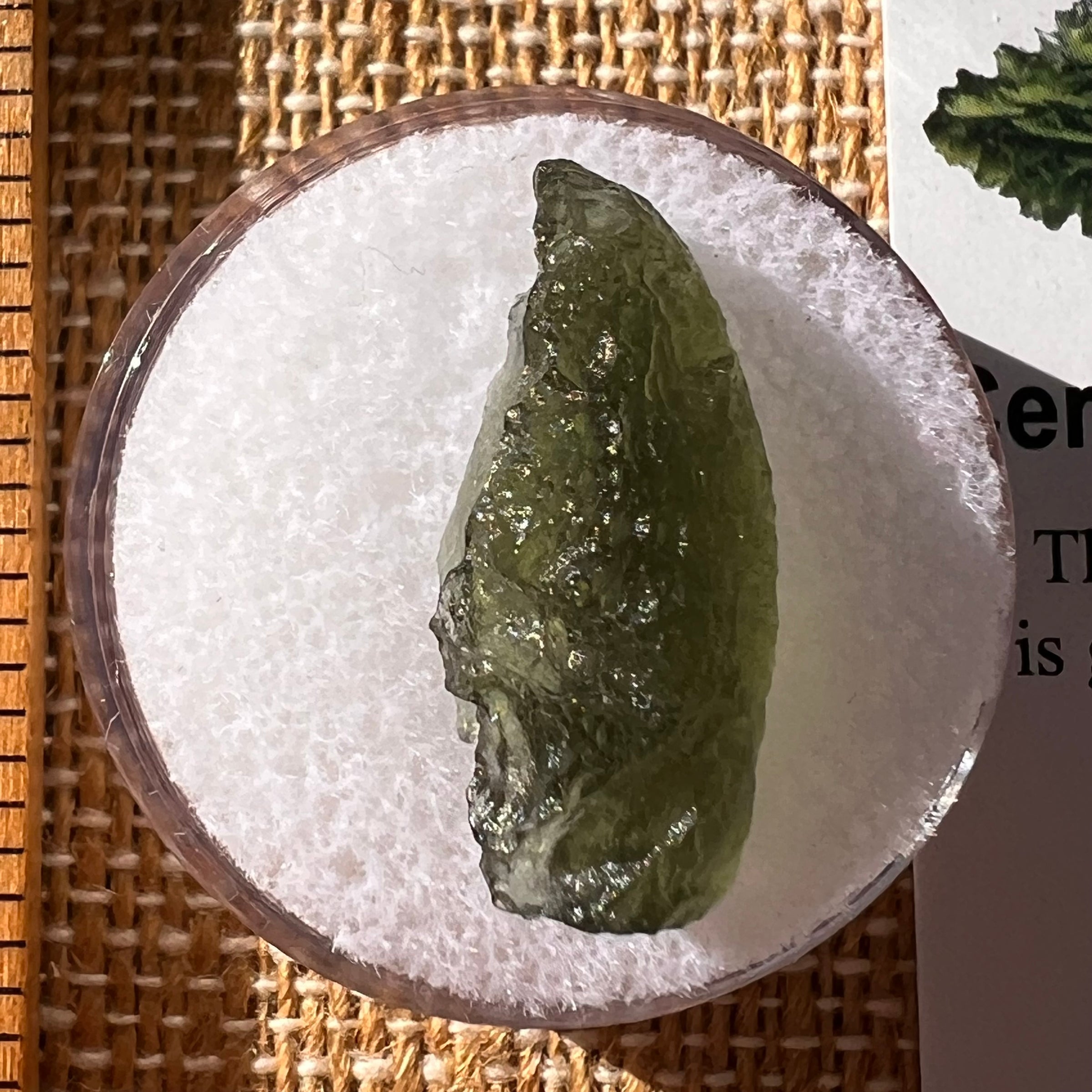 Moldavite 1.6 grams #2279-Moldavite Life