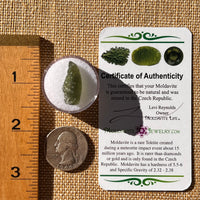 Moldavite 1.6 grams #2279-Moldavite Life