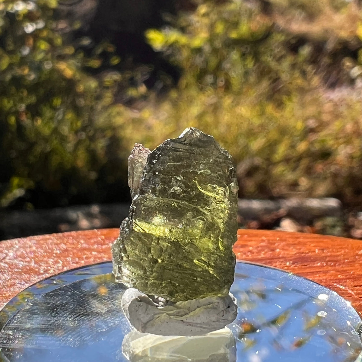 Moldavite 1.6 grams #2283-Moldavite Life