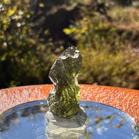 Moldavite 1.6 grams #2283-Moldavite Life