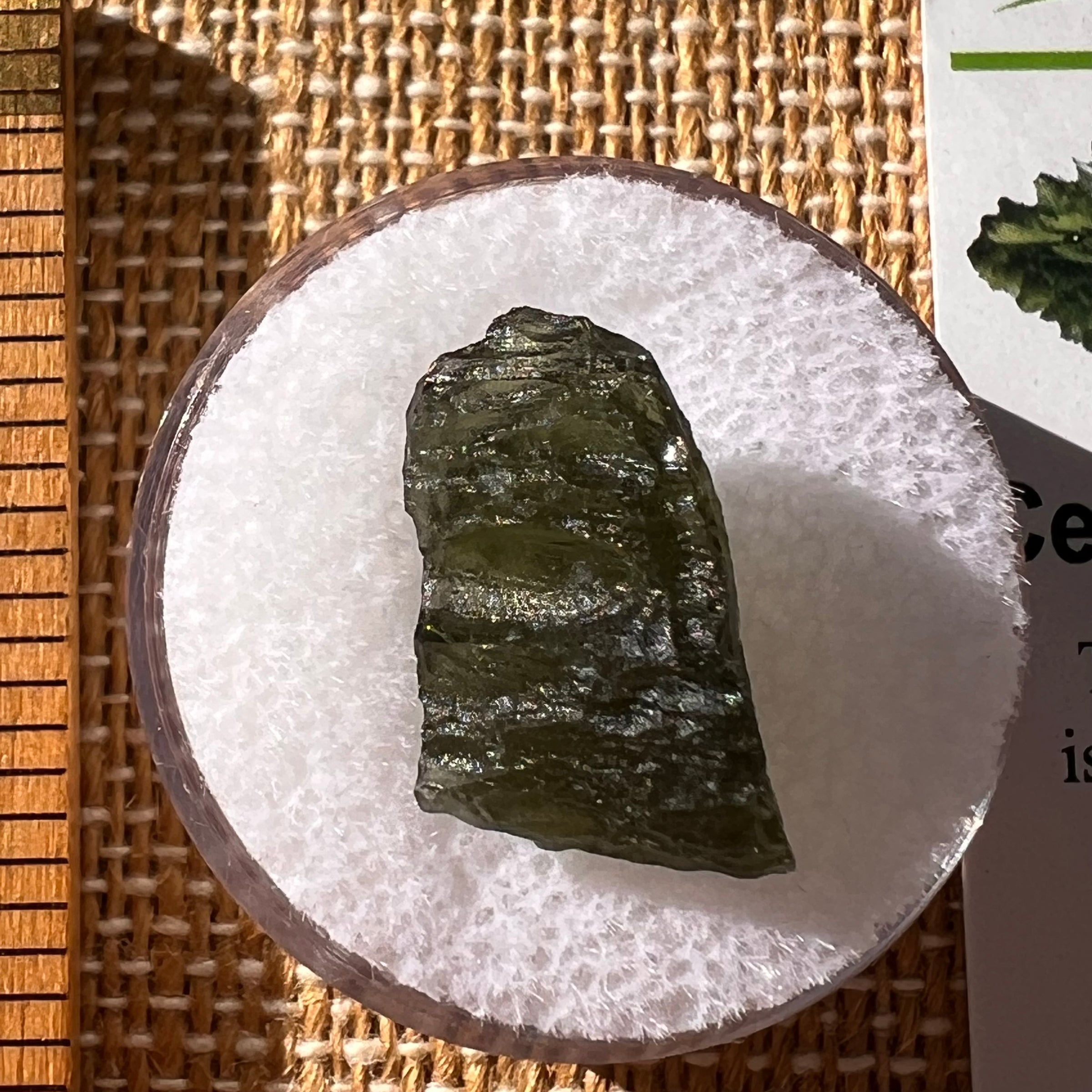 Moldavite 1.6 grams #2283-Moldavite Life