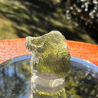 Moldavite 1.6 grams #2337-Moldavite Life