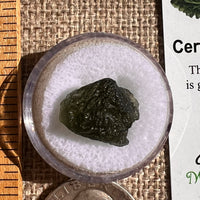Moldavite 1.6 grams #2337-Moldavite Life
