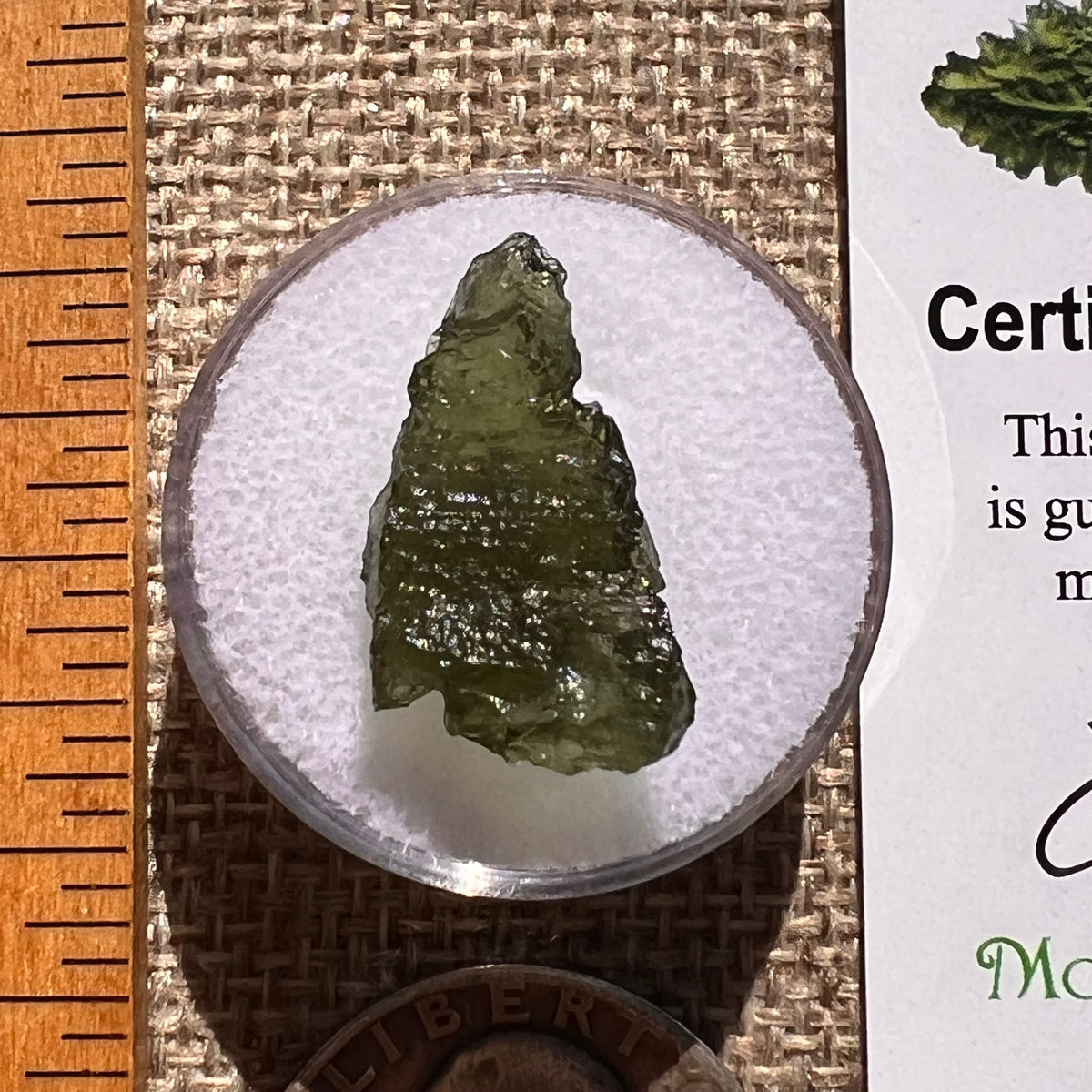 Moldavite 1.6 grams #2360-Moldavite Life