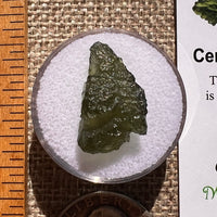 Moldavite 1.6 grams #2360-Moldavite Life
