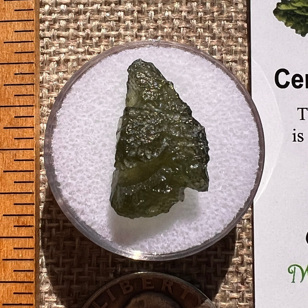 Moldavite 1.6 grams #2360-Moldavite Life