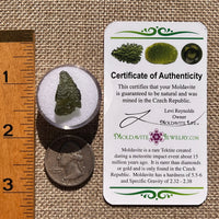Moldavite 1.6 grams #2360-Moldavite Life