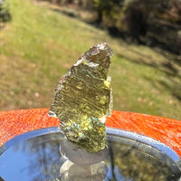 Moldavite 1.6 grams #2360-Moldavite Life