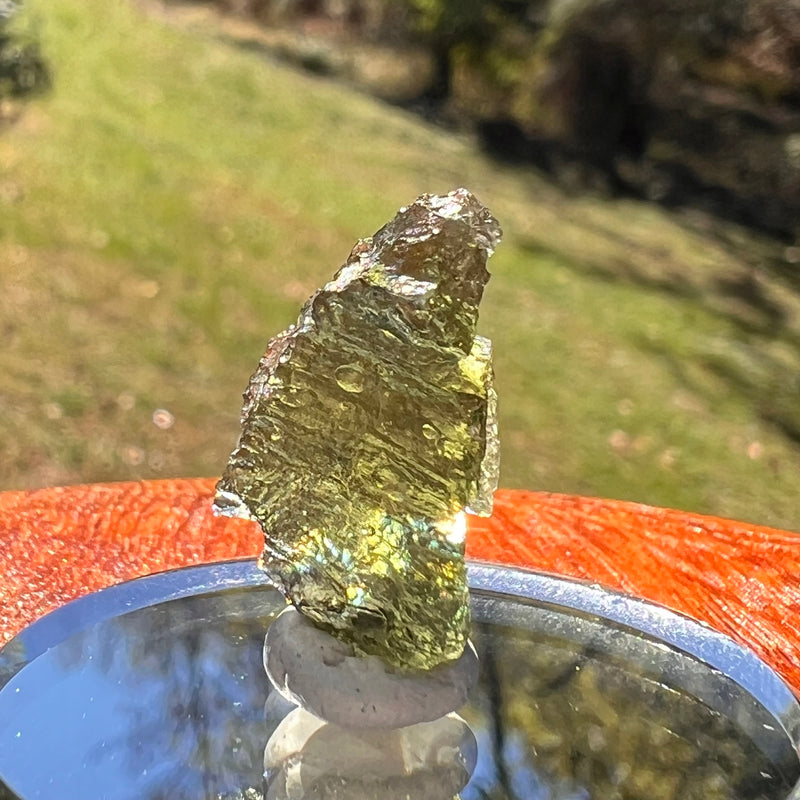 Moldavite 1.6 grams #2360-Moldavite Life