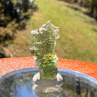 Moldavite 1.6 grams #2364-Moldavite Life