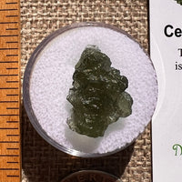 Moldavite 1.6 grams #2364-Moldavite Life