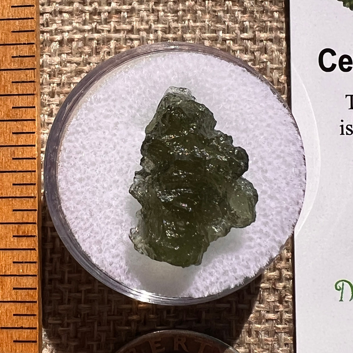 Moldavite 1.6 grams #2364-Moldavite Life