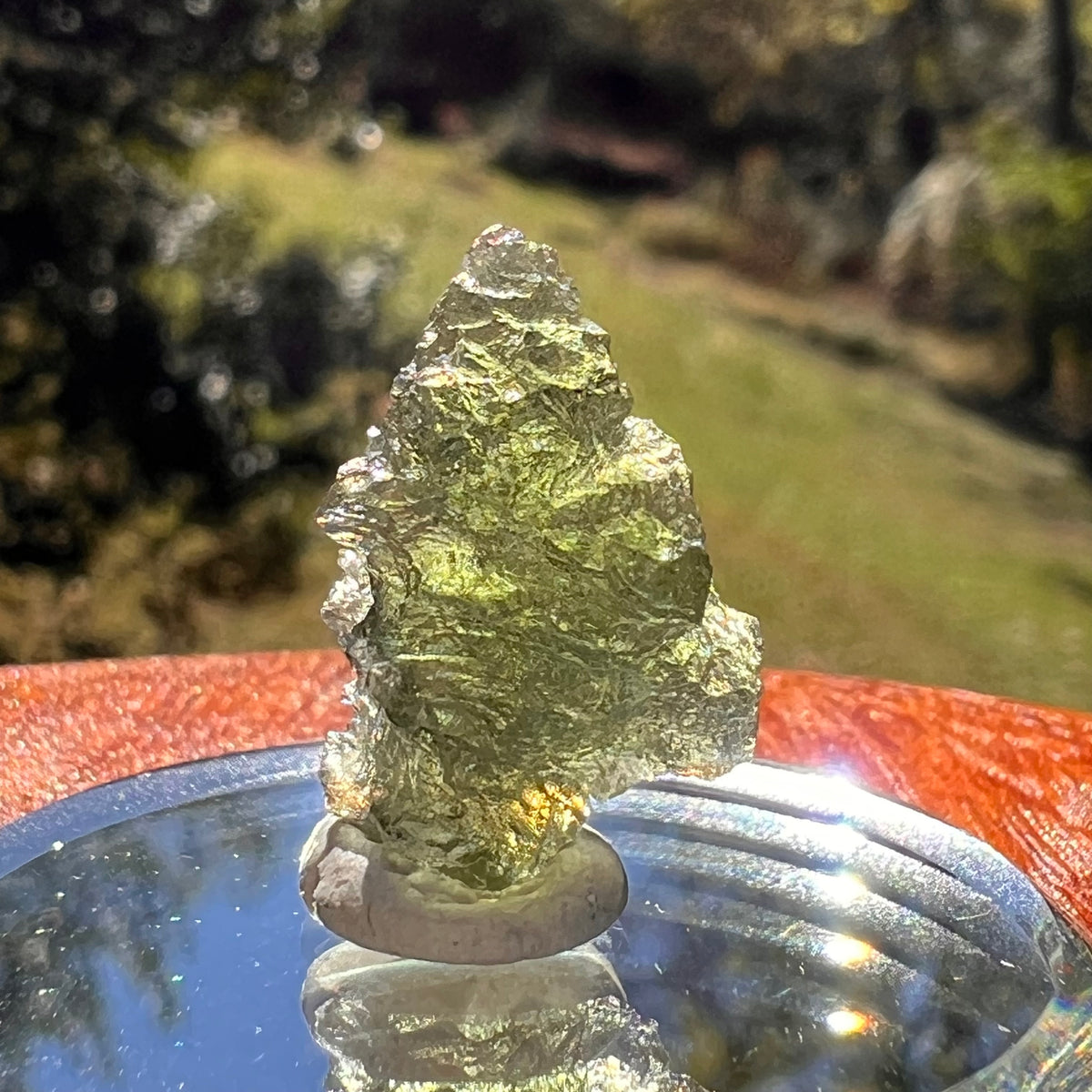 Moldavite 1.6 grams #2364-Moldavite Life