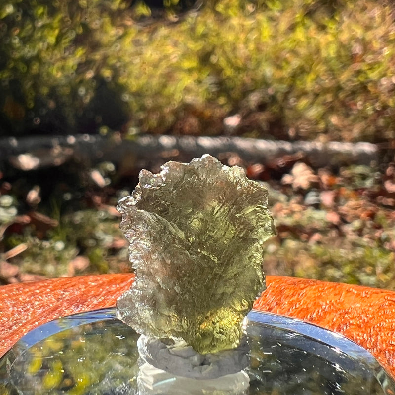 Moldavite 1.7 gram #2274-Moldavite Life