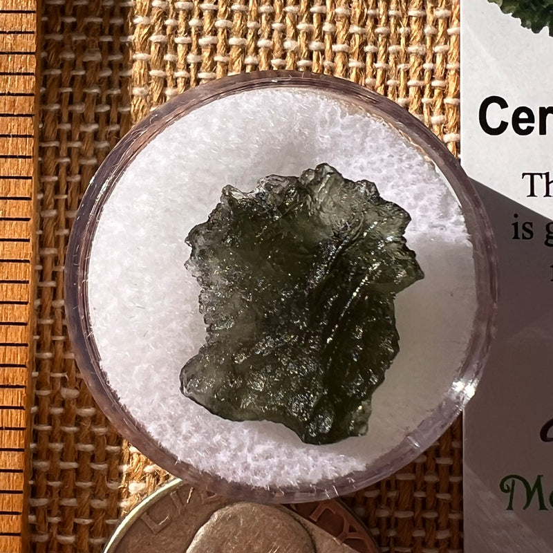 Moldavite 1.7 gram #2274-Moldavite Life