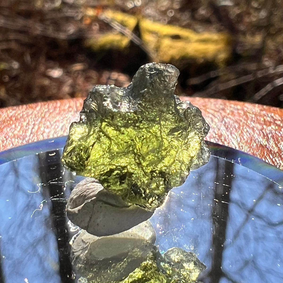 Moldavite 1.7 grams #1756-Moldavite Life