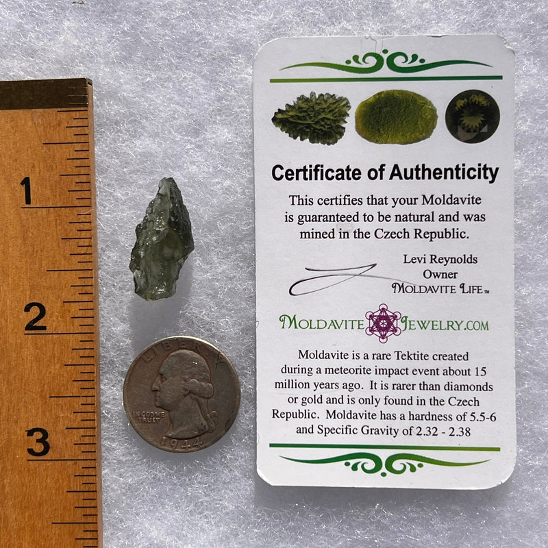 Moldavite 1.7 grams #1763-Moldavite Life