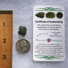 Moldavite 1.7 grams #1796-Moldavite Life