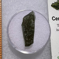 Moldavite 1.7 grams #1851-Moldavite Life