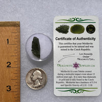 Moldavite 1.7 grams #1851-Moldavite Life