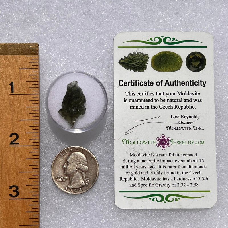 Moldavite 1.7 grams #1854-Moldavite Life