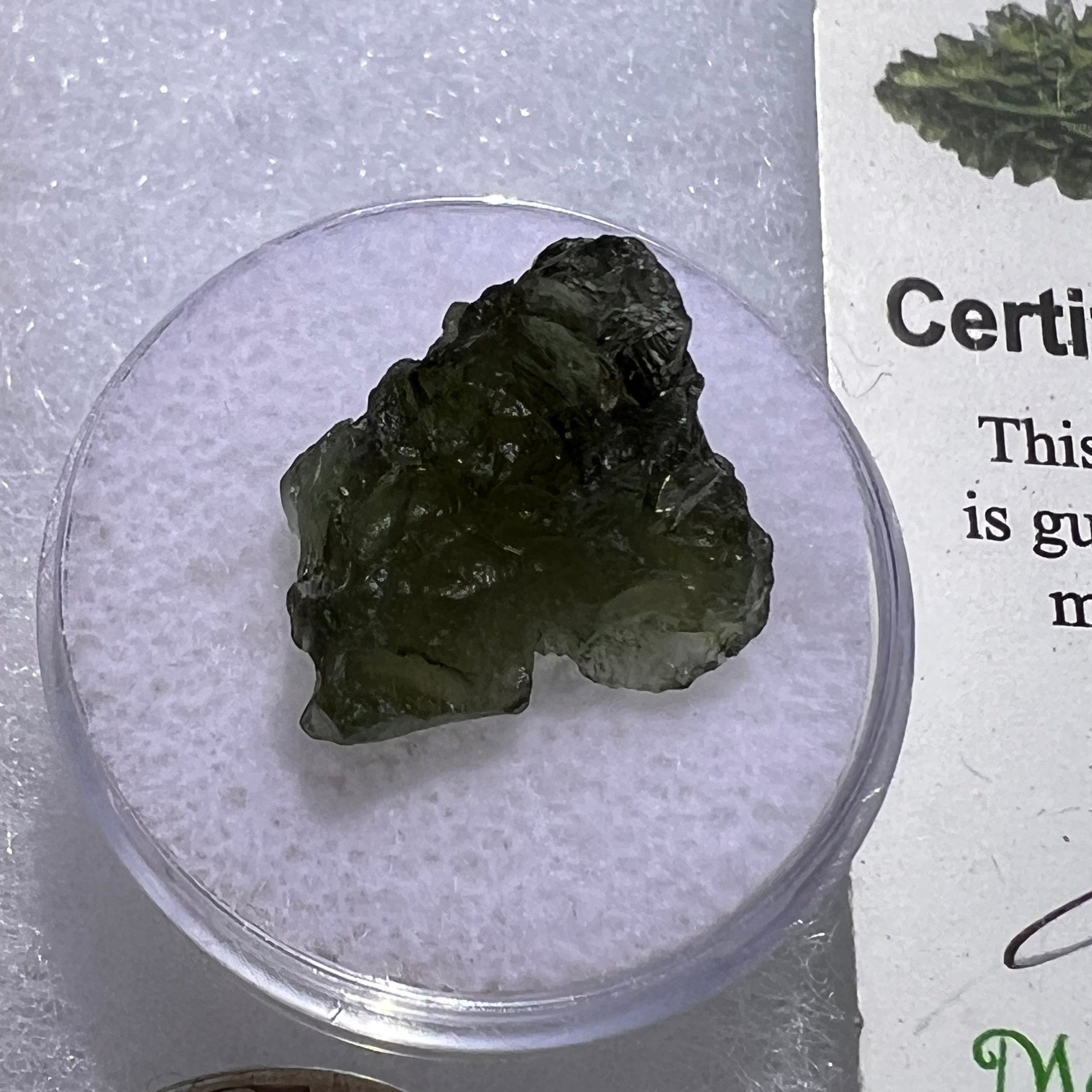 Moldavite 1.7 grams #1856-Moldavite Life