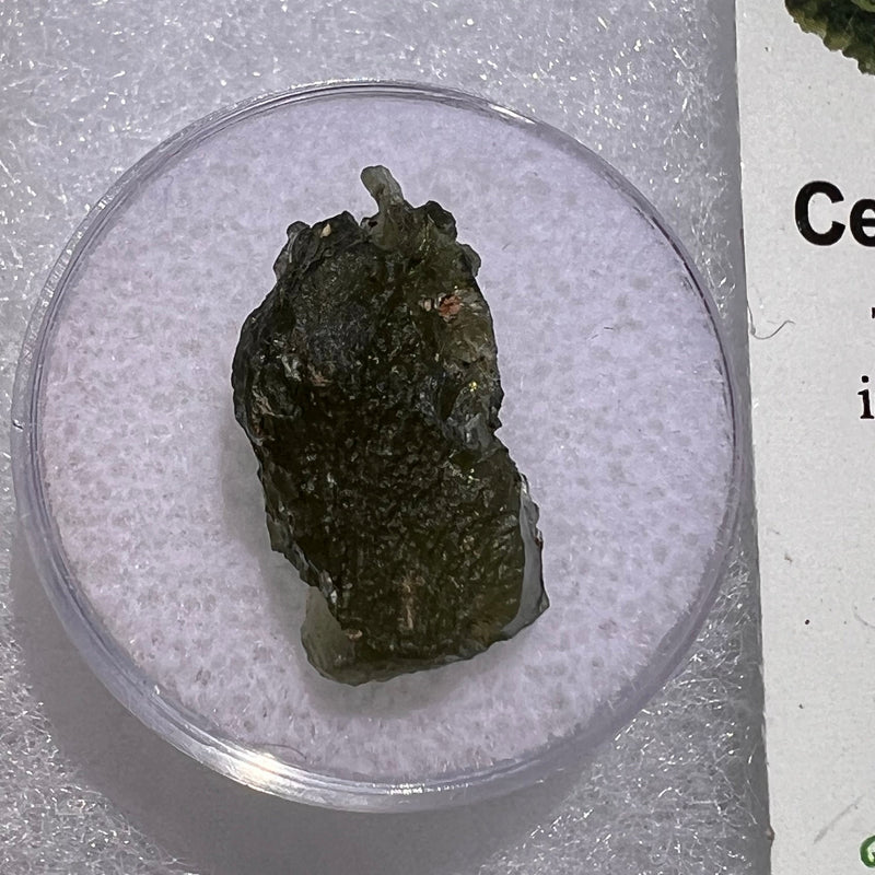 Moldavite 1.7 grams #1864-Moldavite Life