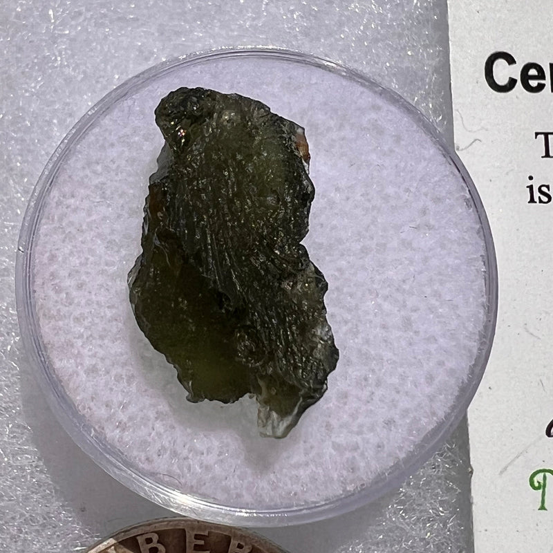 Moldavite 1.7 grams #1864-Moldavite Life