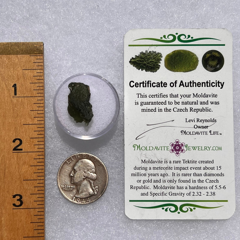 Moldavite 1.7 grams #1864-Moldavite Life