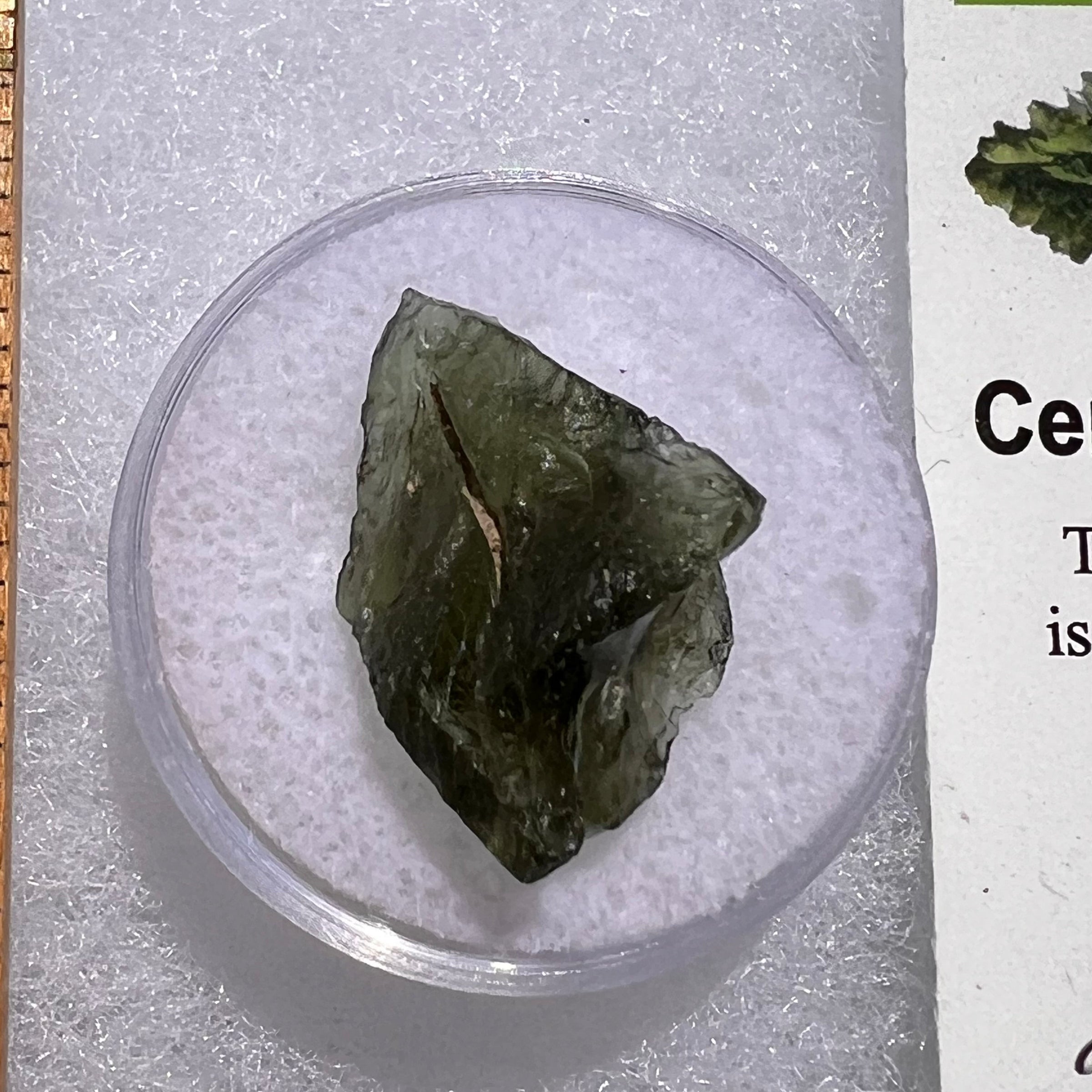 Moldavite 1.7 grams #1866-Moldavite Life