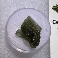 Moldavite 1.7 grams #1866-Moldavite Life