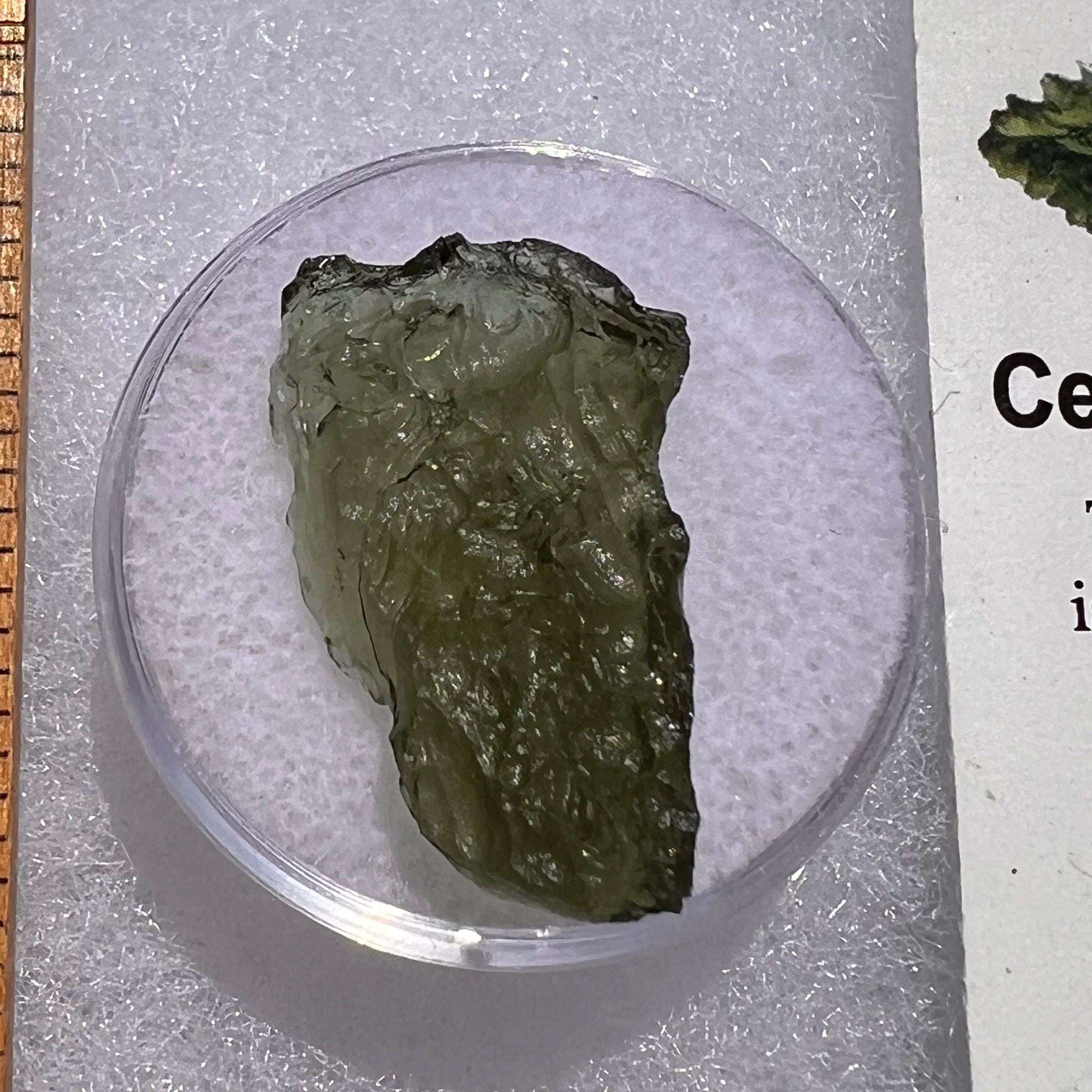 Moldavite 1.7 grams #1867-Moldavite Life