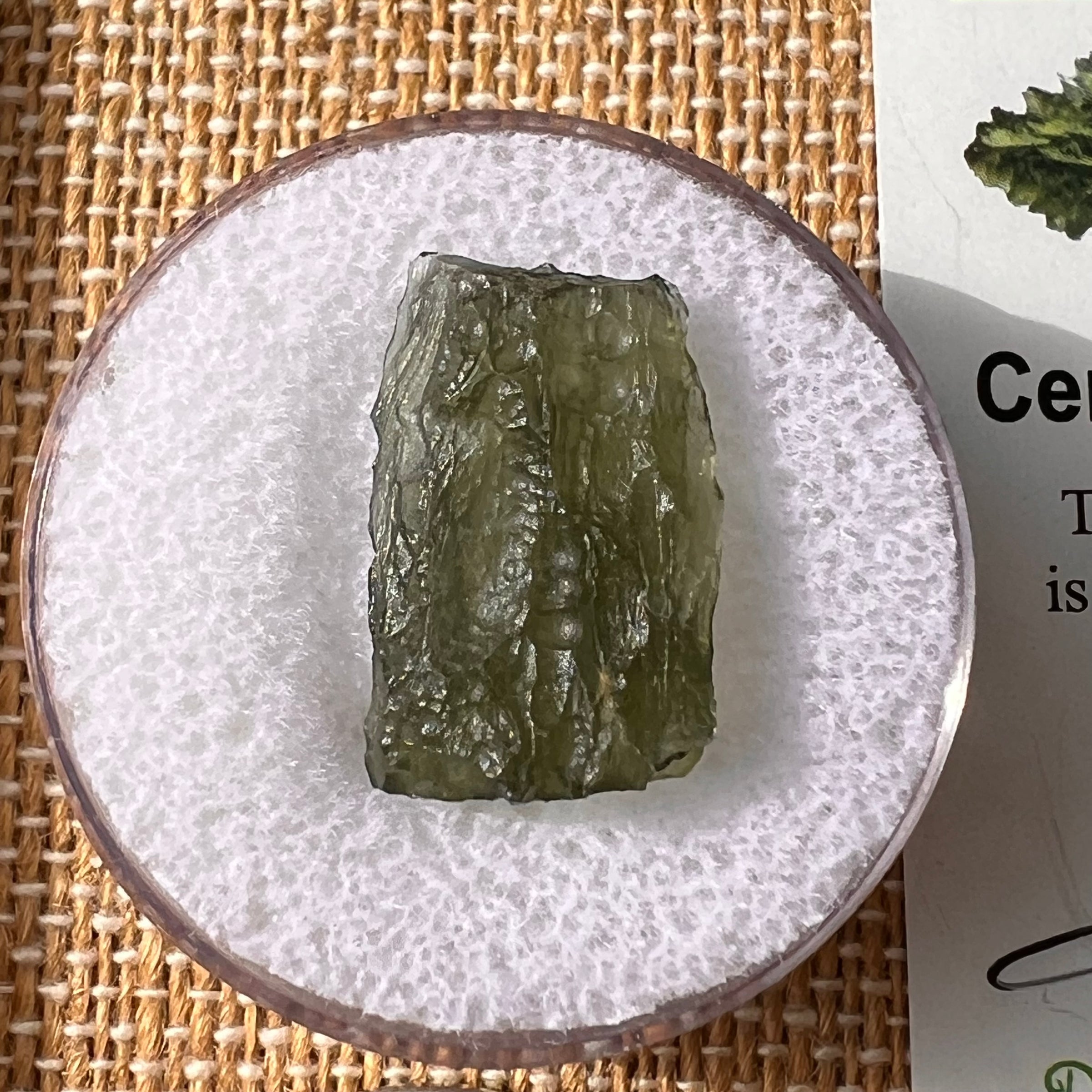 Moldavite 1.7 grams #2164-Moldavite Life