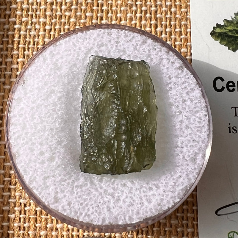 Moldavite 1.7 grams #2164-Moldavite Life
