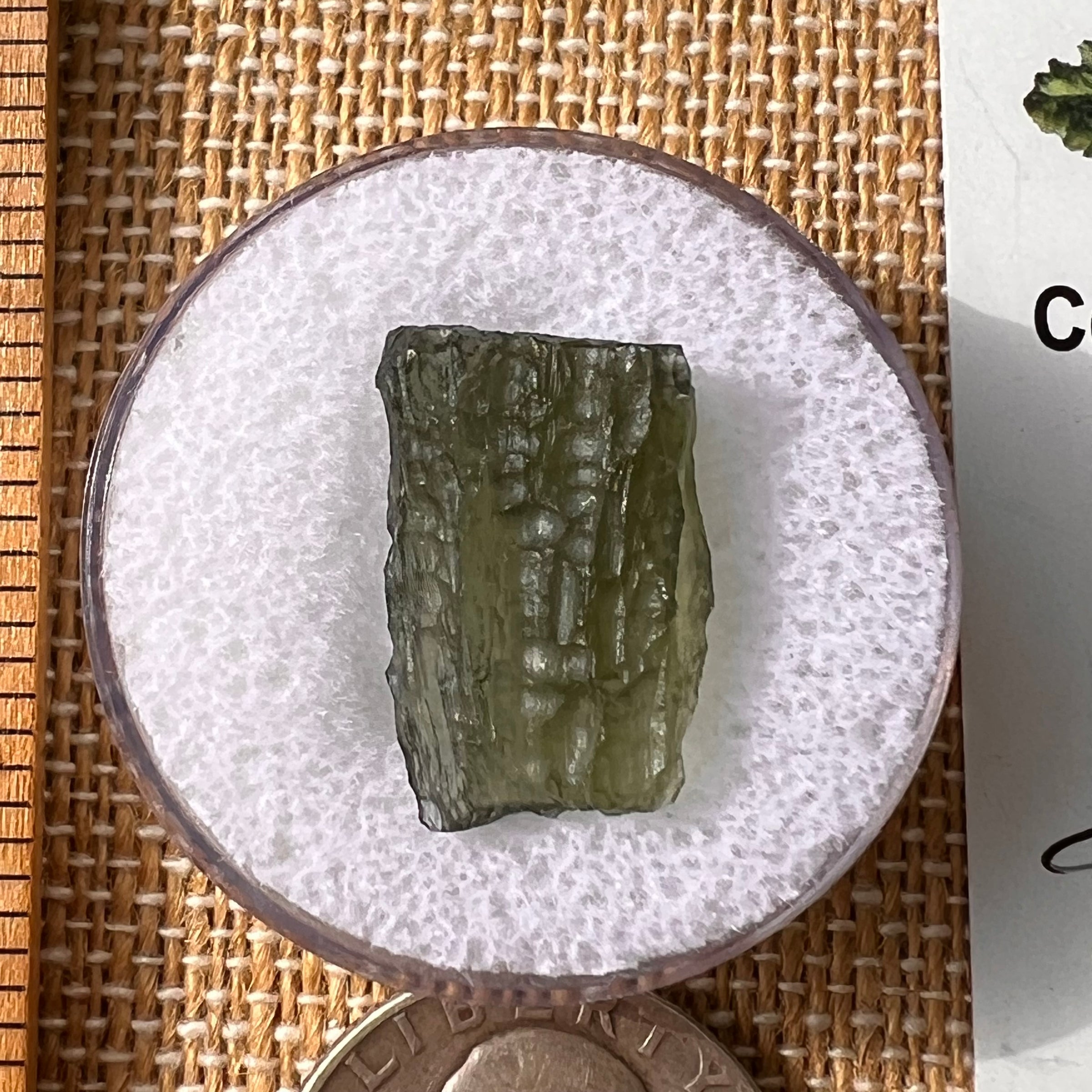 Moldavite 1.7 grams #2164-Moldavite Life