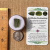Moldavite 1.7 grams #2164-Moldavite Life