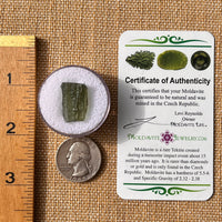 Moldavite 1.7 grams #2164-Moldavite Life