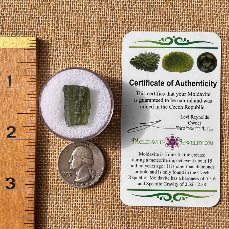 Moldavite 1.7 grams #2164-Moldavite Life