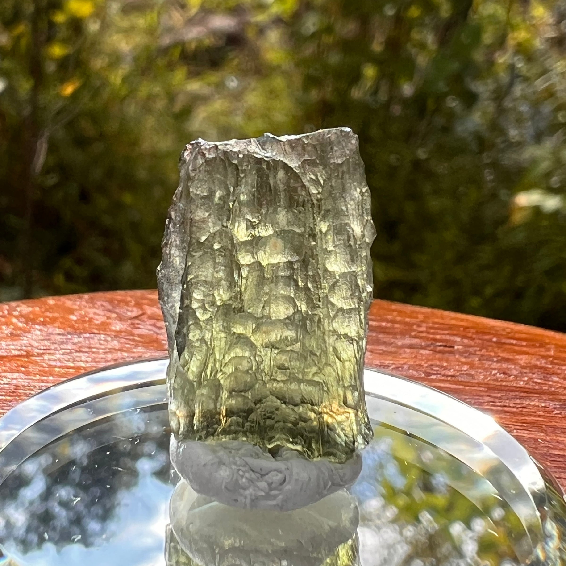 Moldavite 1.7 grams #2164-Moldavite Life