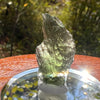 Moldavite 1.7 grams #2165-Moldavite Life