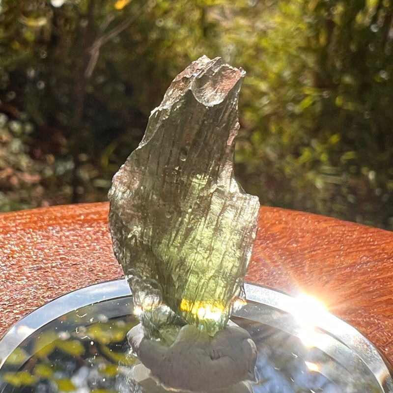 Moldavite 1.7 grams #2165-Moldavite Life