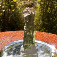 Moldavite 1.7 grams #2165-Moldavite Life