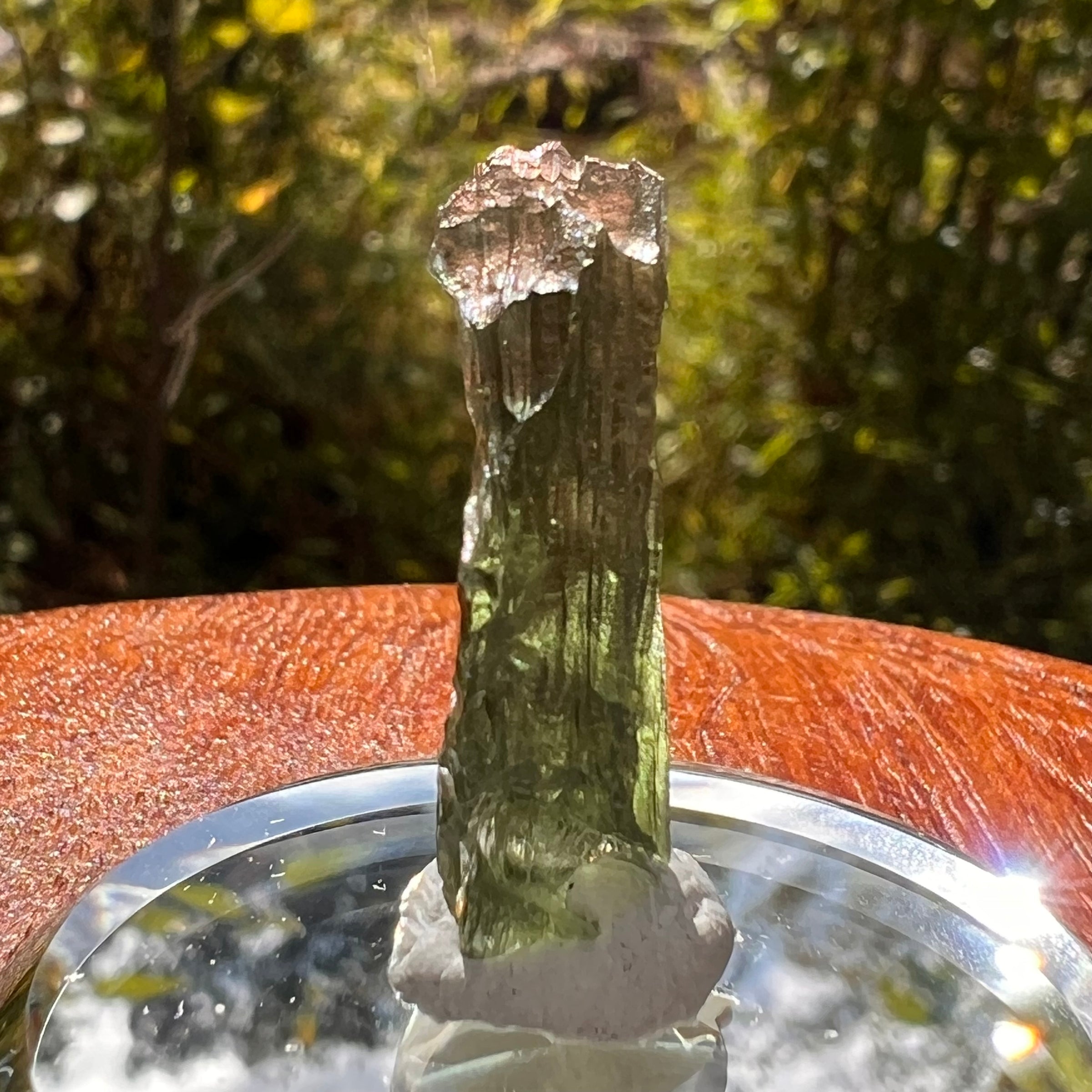 Moldavite 1.7 grams #2165-Moldavite Life
