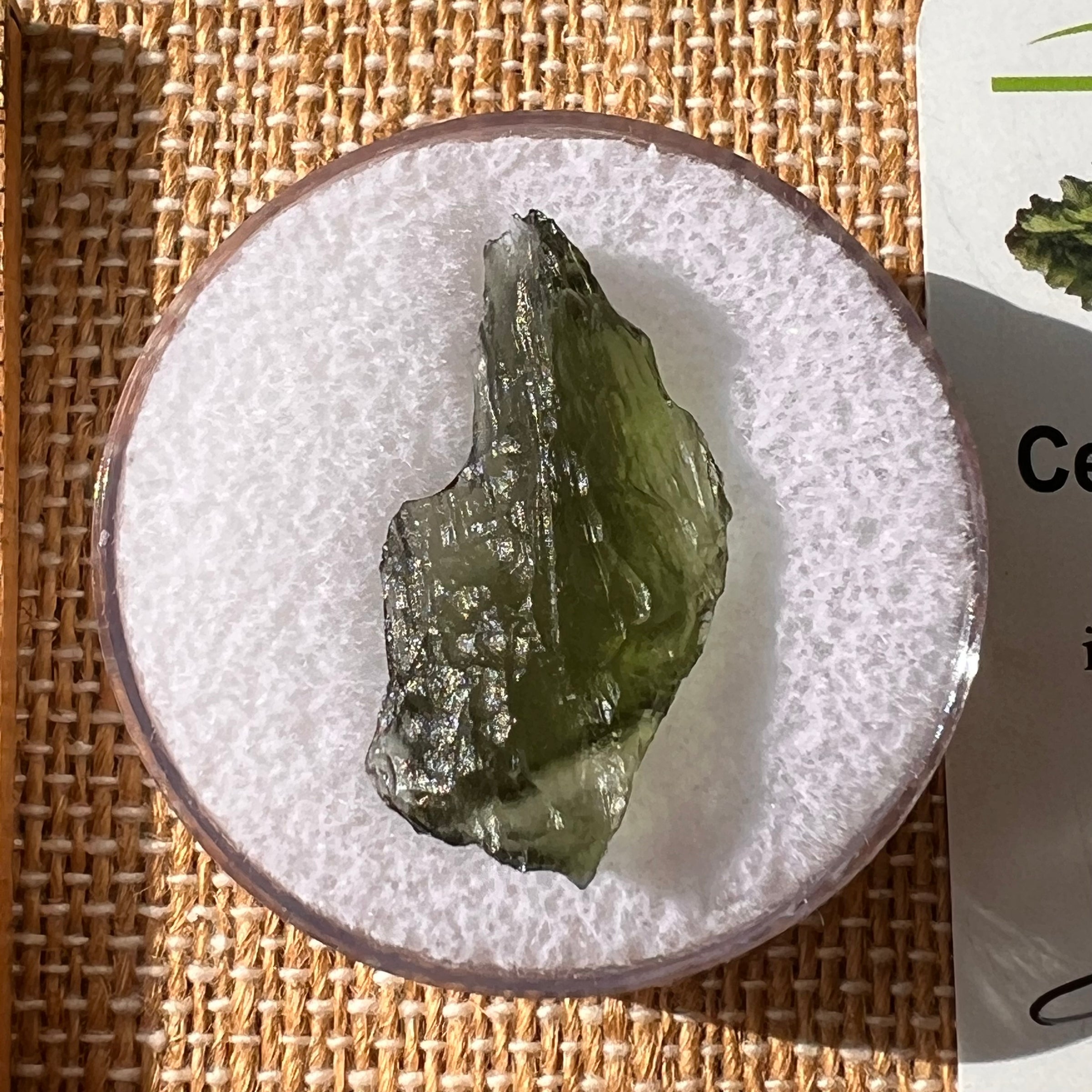 Moldavite 1.7 grams #2165-Moldavite Life