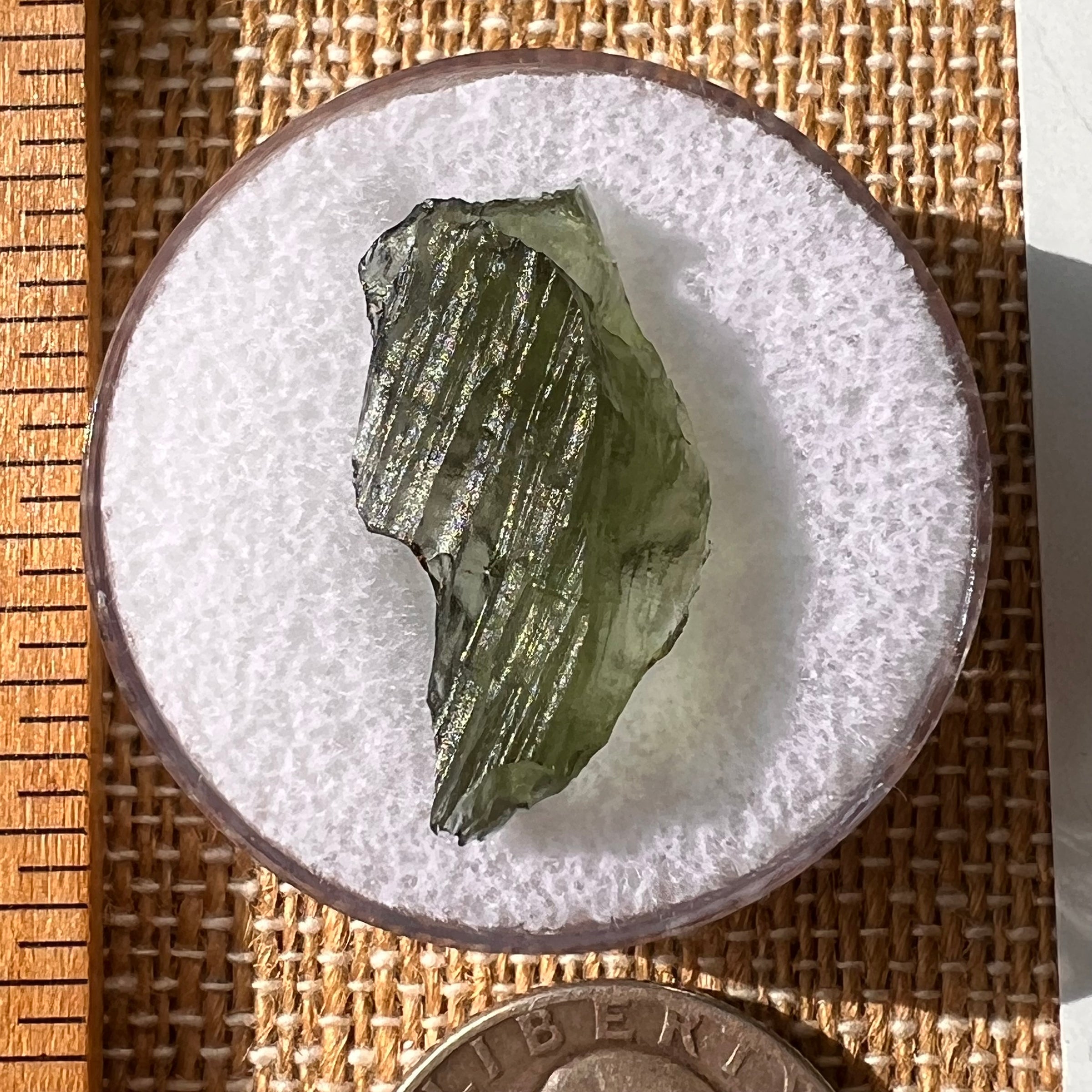 Moldavite 1.7 grams #2165-Moldavite Life